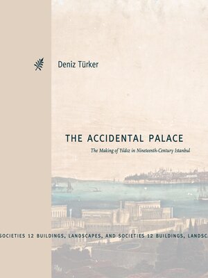cover image of The Accidental Palace